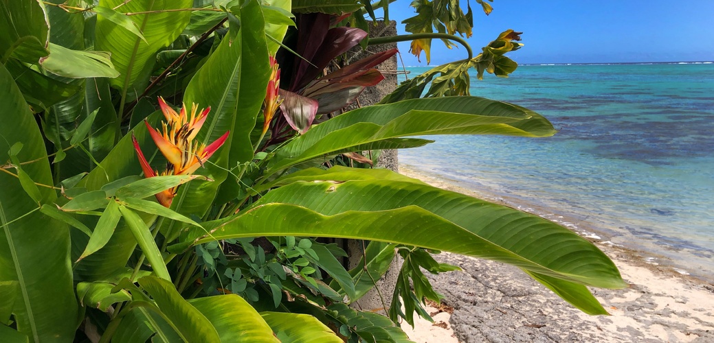 Villa Miti Vai