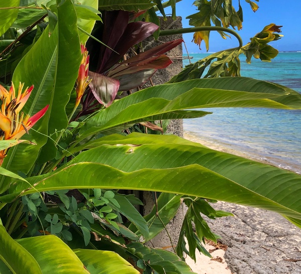 Villa Miti Vai
