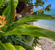 Villa Miti Vai