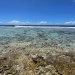 lagon