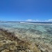 lagon 