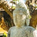 BUNGALOWS-TEMAE 