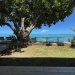 Jardin coté lagon