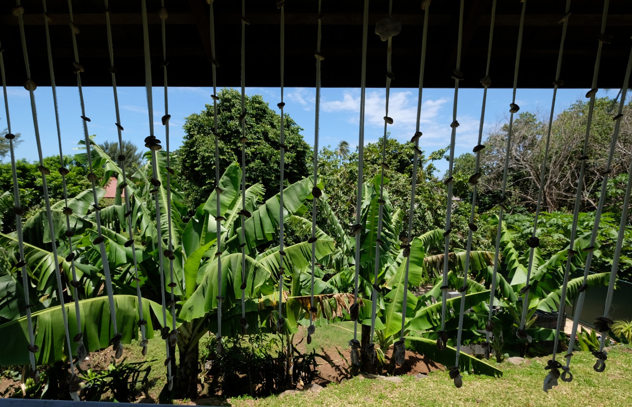 Jardin autour de la villa