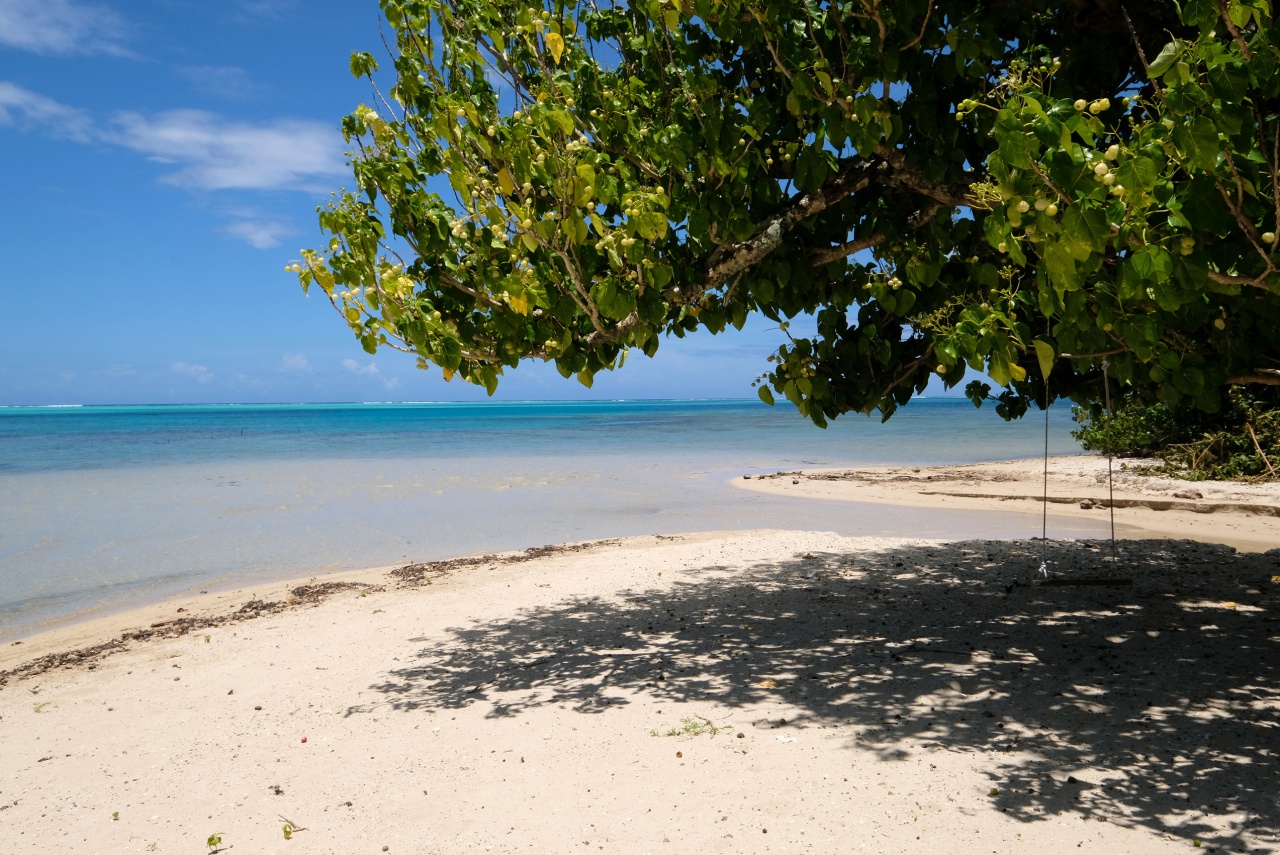 Magnifique plage de sable blanc
