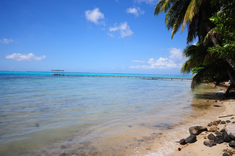 2-lagon